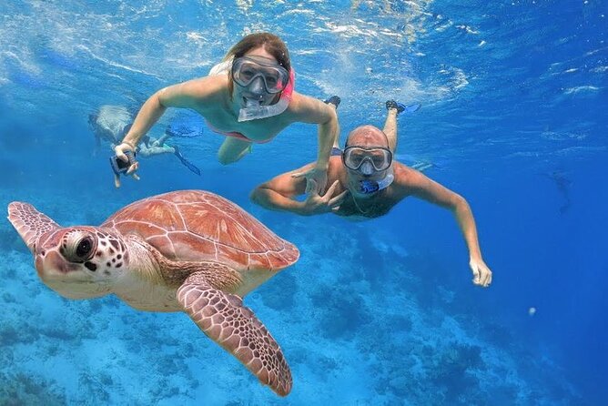 Swimming Close to Wild Dolphins From Hurghada - Frequently Asked Questions