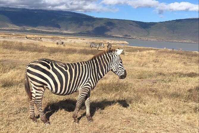 Tarangire & Ngorongoro Crater Group Safari (2 Days) - Professional Guides