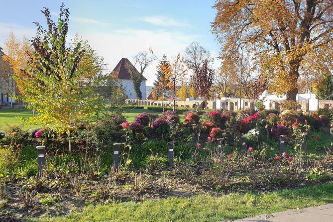 Targu Mures 3 Hours Walking Tour - Encounter Artistic Masterpieces
