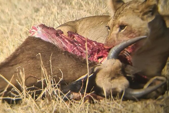 Taste of Tanzania: 3 Day Safari Tour - Accessibility and Accommodations