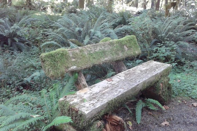 Temperate Rainforest Olympic Mountains - Personalized Tour Experience Highlights
