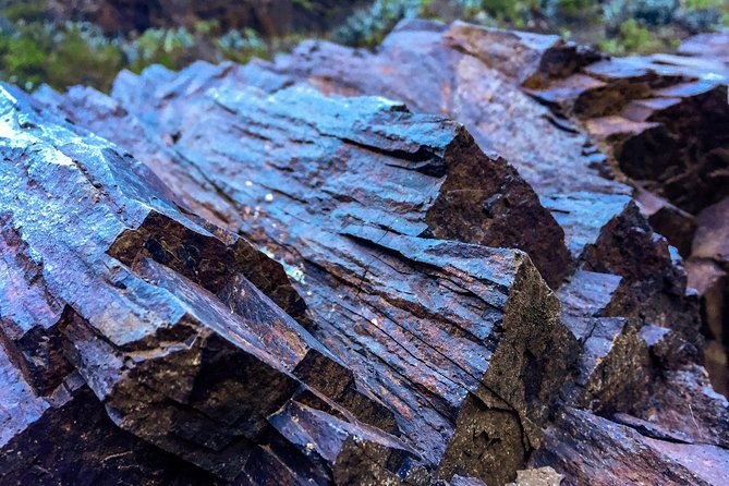 Tenerife South Private Tour: Secrets of the Volcanoes - Flexibility and Accessibility