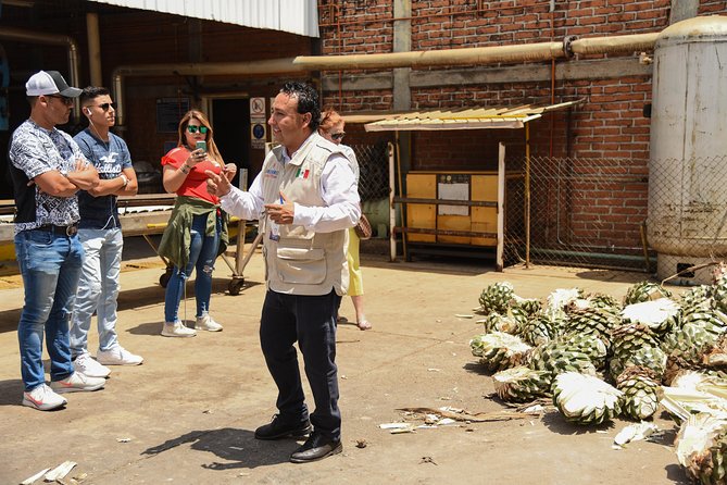 Tequila Route Experience From Guadalajara - Traveler Reviews and Ratings
