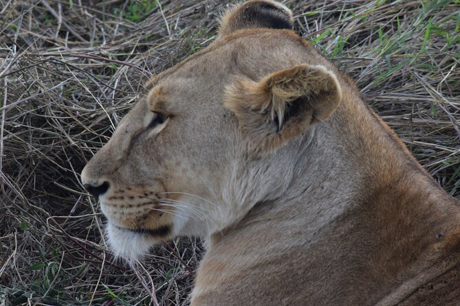 The Best and Most Affordable 4-Day Tanzania Budget Private Safari - Booking and Cancellation Policy