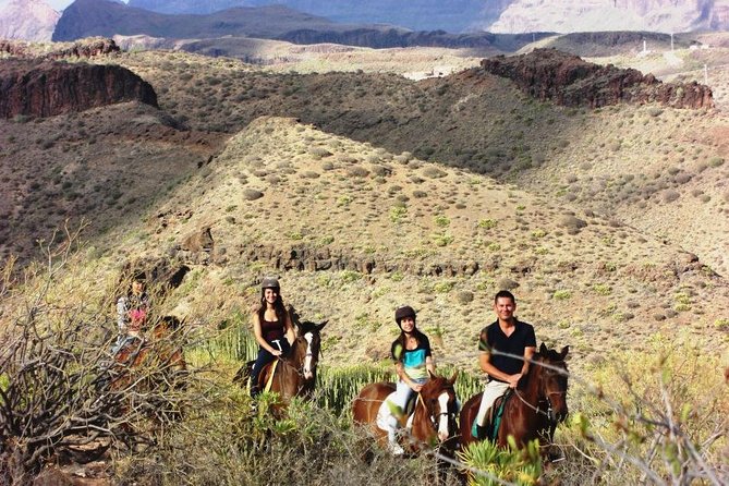 The Best Horse Riding Experience in Gran Canaria (1 Hour) - Magnificent Views From Horseback