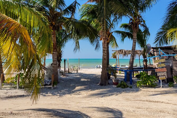 The Best of Holbox From Tulum - Traveler Information and Reviews