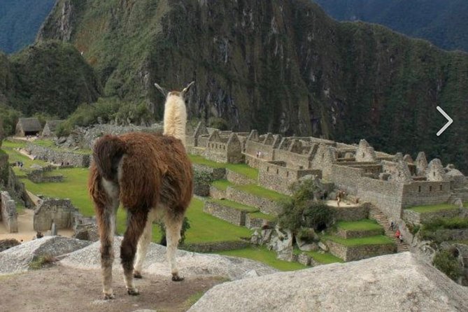 The Best of Ingapirca: an Adventure to the Ecuadorian Machu Picchu - Accessibility and Accommodations for All Visitors