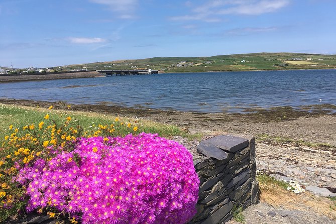The Cliffs of Moher and Burren National Park Private Tour. - Inclusions