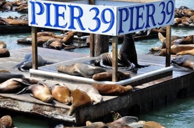 The Flyer San Francisco & 7D Experience Review - Concluding Thoughts