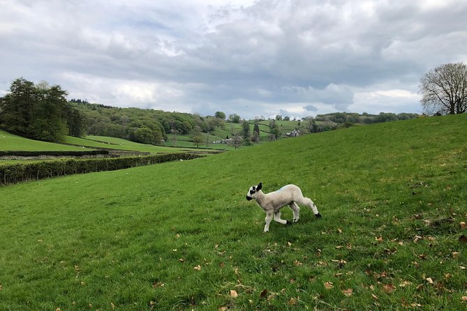 The Lake District Tour From Liverpool Including Lake Cruise - Attractions and Activities Explored