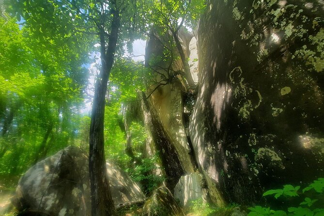 The Mountain Train Experience : Hike to Mystic Forest & Castle - Physical Requirements