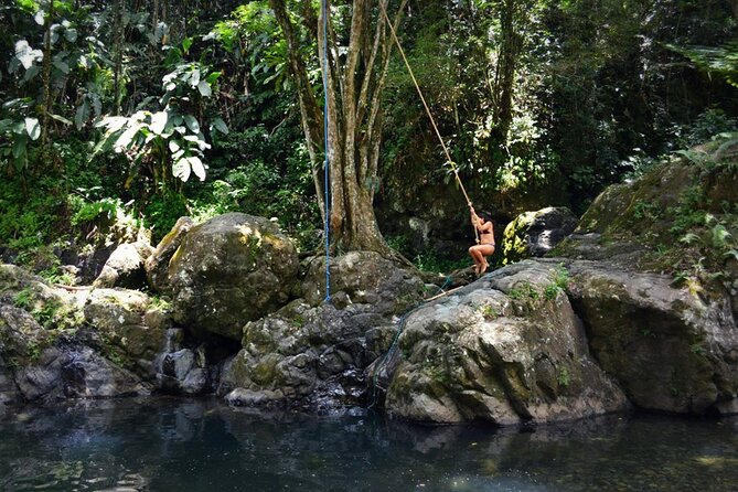 The Original El Yunque Rainforest Waterslide Tour - Booking and Cancellation