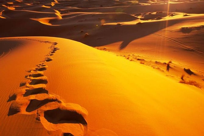 The Private 2 Days Desert Tour Fez to Merzouga - Transportation and Pickup