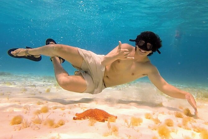 The Sky Cozumel Snorkeling by Private Boat - Logistics and Accessibility