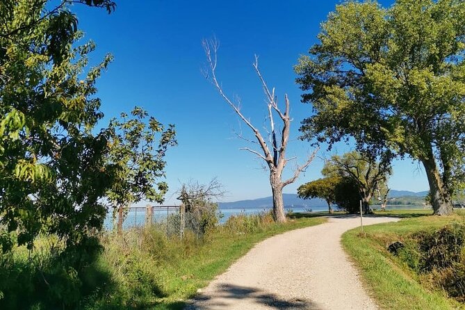 The Spell of Lake Trasimeno - Trekking Tour - Reviews and Feedback