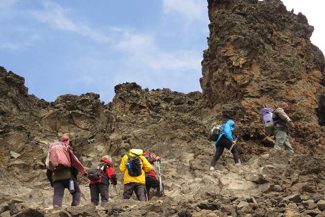 The Ultimate 8-Day Lemosho Route Climbing Kilimanjaro - Day-by-Day Itinerary of the Trek