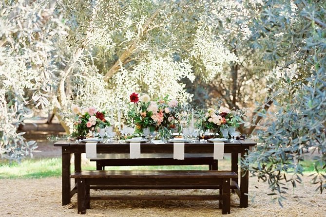 Think of a Romantic Meal in the Olive Trees Shade, Accompanied by Tuscan Wines! - Reviews and Feedback