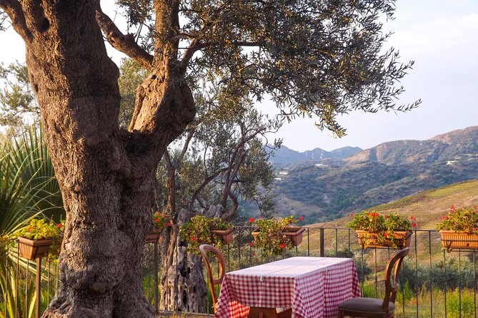 Tirana: Wine Tasting & Vineyards Escape - Cancellation Policy and Support