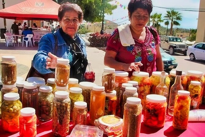 Todos Santos Magical Town Day-Trip - Highlights of the Destination