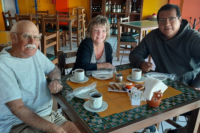 Todos Santos Private Transportation to Airport in San Jose Del Cabo - Accessibility Features