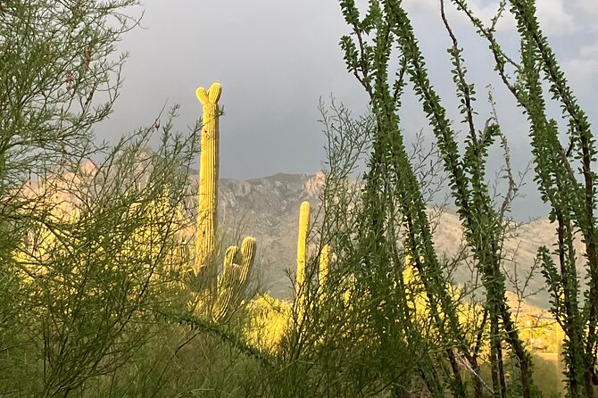 Tombstone & San Xavier, How the West Was Won! - Convenient Booking and Pickup