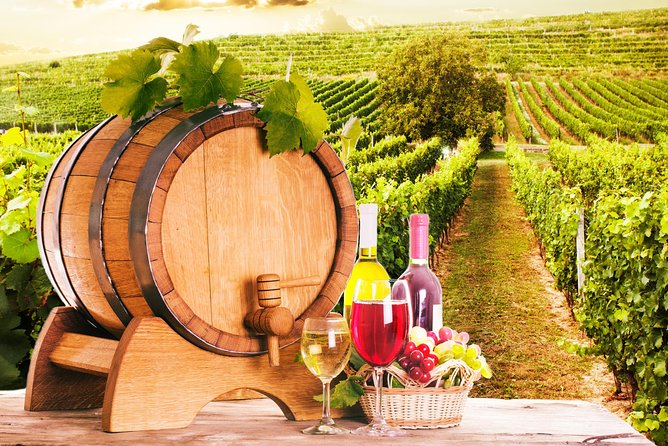 Tour Etna & Wine Tasting Private - Transport and Pickup