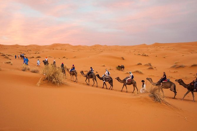 Tour From Marrakech to the Sahara Desert 4 Days - Traveler Information and Requirements