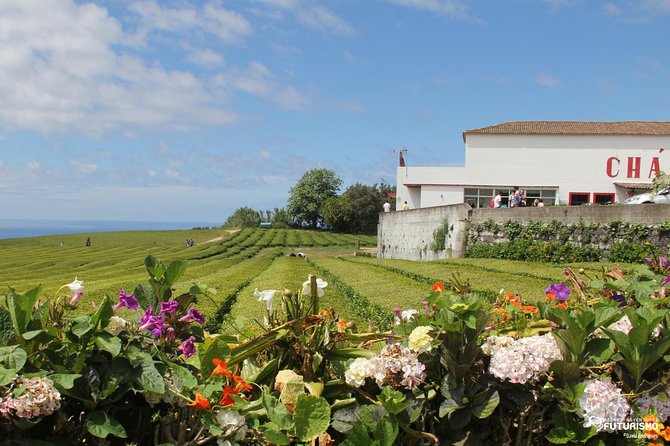 Tour to Furnas and Terra Nostra Garden - Full Day - Dietary Requirements and Confirmation