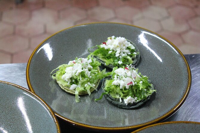 Traditional Oaxaca Cooking Class With Transportation - Highlights and Recommendations