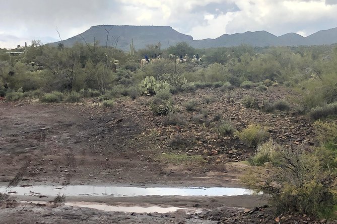 Trail Riding for the Individual or Group. Best Trail Rides Anywhere in Arizona. - Booking and Cancellation Policies