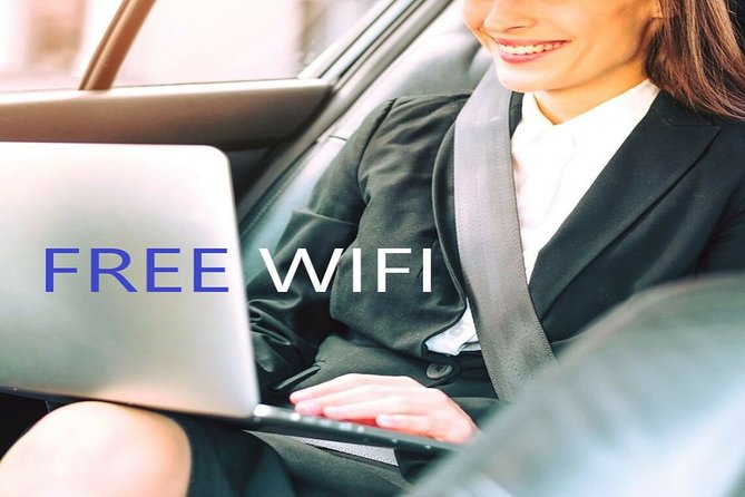 Transfer From Alicante Airport to Benidorm in Private Minivan up to 6 Passengers - Friendly and Helpful Staff Reported by Travelers