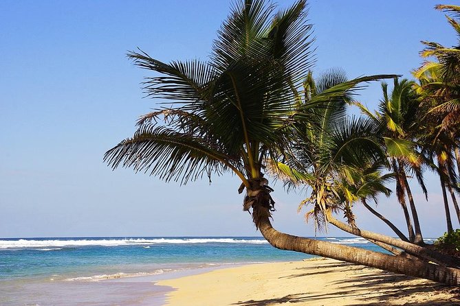 Transfer From Punta Cana PUJ Airport to Punta Cana Hotels by SUV - Additional Information