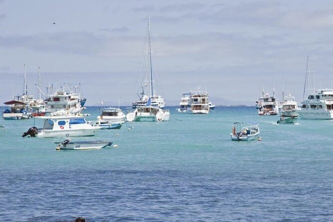 Transfer From San Cristobal Island to Santa Cruz Island - Alternatives to the Transfer