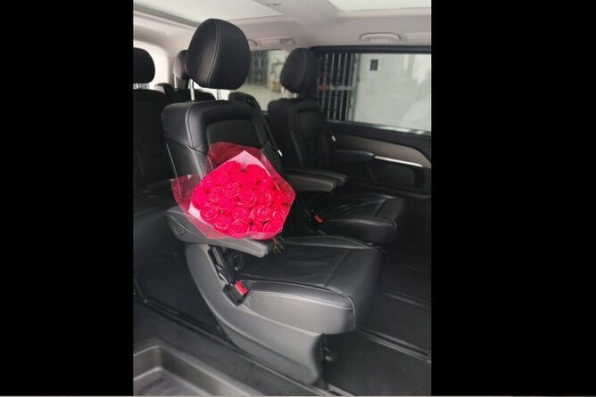 Transfer in Luxury Mercedes Benz Minivan - Personalized Service