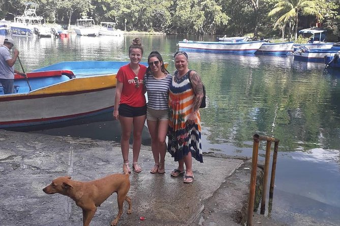 Transfers From Santo Domingo Airport to Cabarete, Sosua - Accessibility and Additional Services