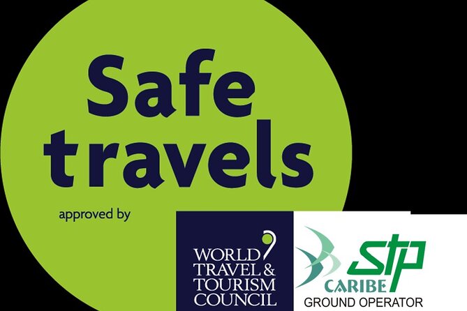 Transfers in Private Minivan Wi Fi on Board - Accessibility and Accommodations