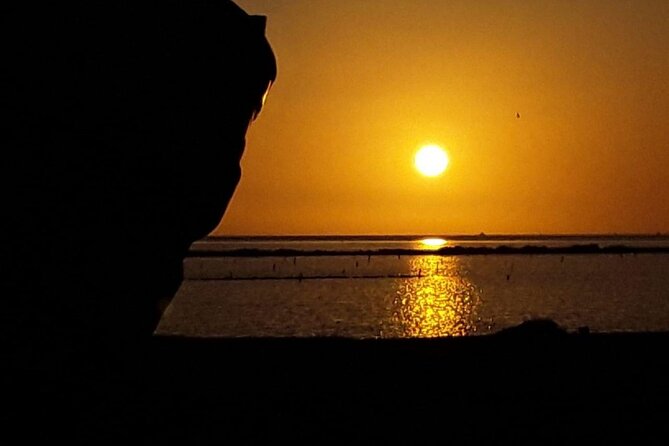 Trapani Salt Pans Private Tour Review - Customized Itinerary and Pace