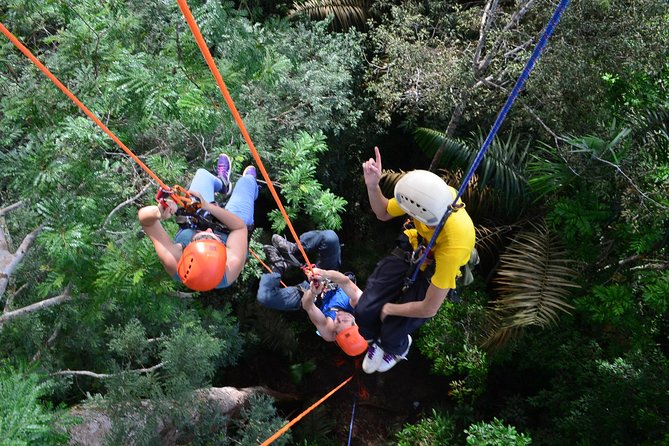 Tree Climbing in the Amazon - Questions About Your Stay