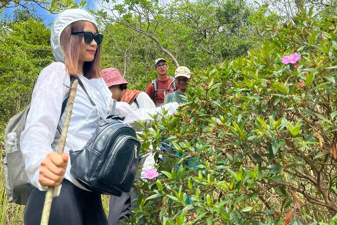Trek Nui Chua Experience 2D1N, Night in the Jungle - Vinh Hy Bay - Reviews and Ratings