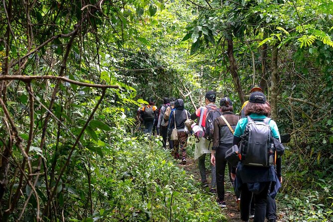 Trekking in Portugal: Serra De Sintra Natural Park - Transportation Details