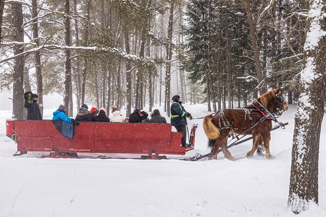 Tremblant Sleighride - Age and Accessibility