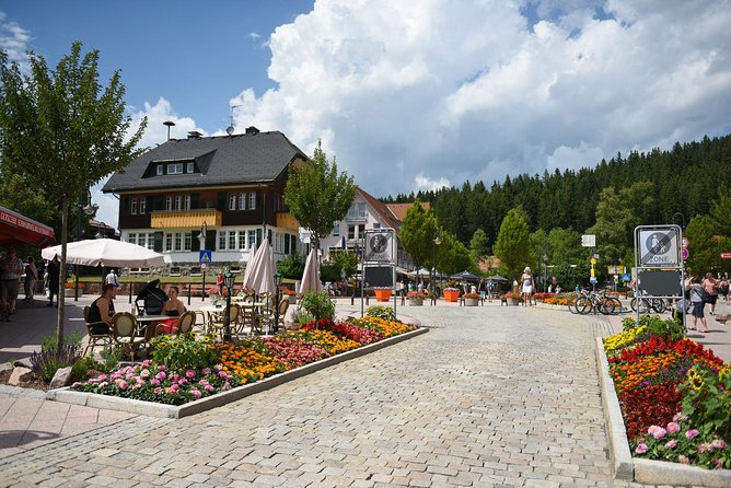 Trip From Zurich to Germanys Black Forest & Swiss Rhine Falls - Reviews and Feedback