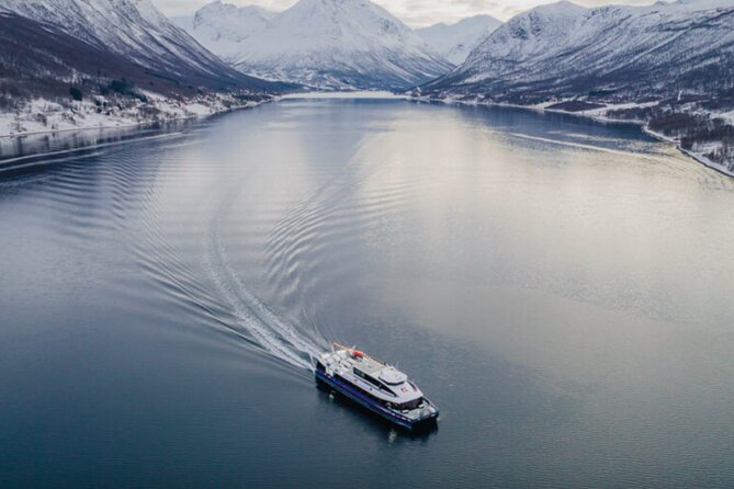 Tromsø Northern Lights Cruise Review - The Sum Up and Recommendations
