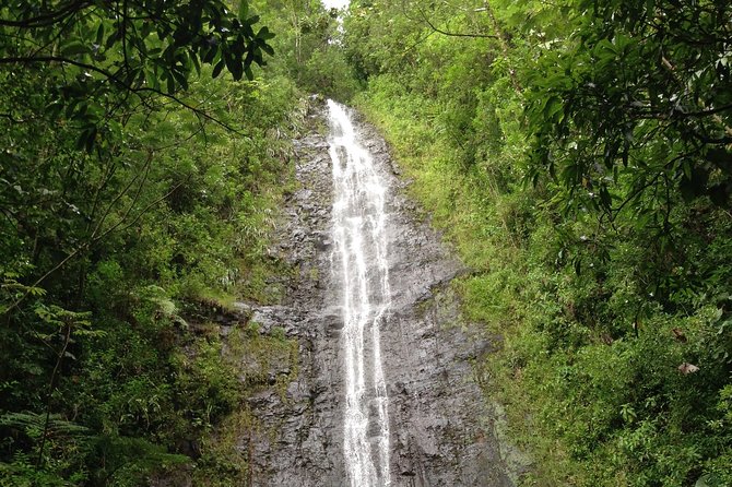 Tropical Adventure Package - Convenient Hotel Pickup and Drop-off