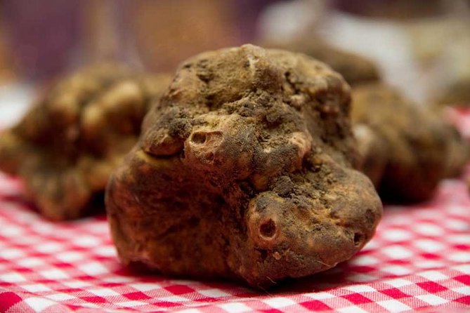 Truffle Hunting With Tasting Included - Umbria, Italy - Meeting Point and Transportation