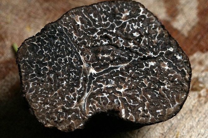 Truffle Hunting With Wine Tasting in Chianti - Wine, Olive Oil, and Honey Tastings