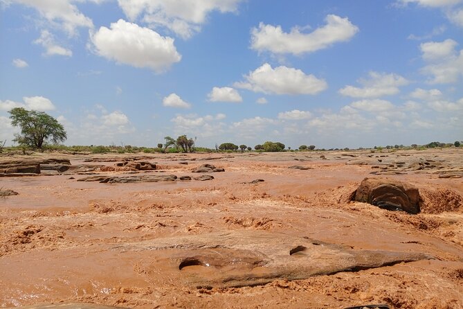 Tsavo East and Ngutuni Sanctuary Safari 3 Days From Mombasa - Accommodations and Meals During the Safari