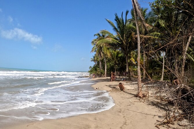 Tubing Across Palomino River Including a Hiking Tour - Scenery and Highlights
