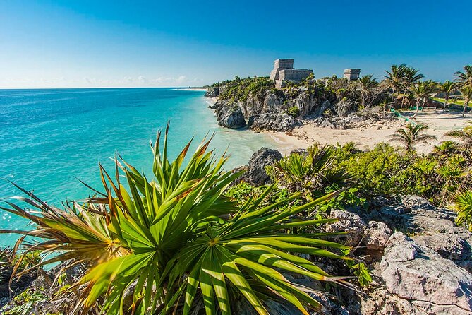 TULUM, CENOTE, MYSTIKA MUSEUM, TURTLES SNORKELING (Private) - Private Transportation and Accessibility