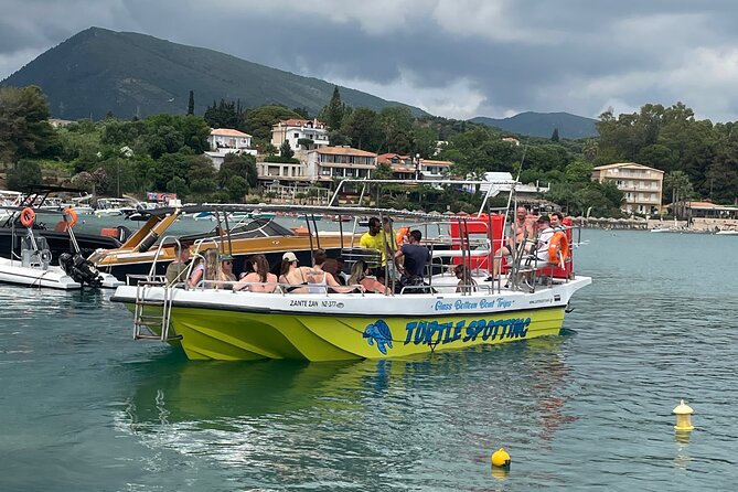 Turtle Spotting Cruise Review: A Unique Adventure - Feedback and Customer Reviews